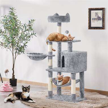 Milo and best sale misty cat tree